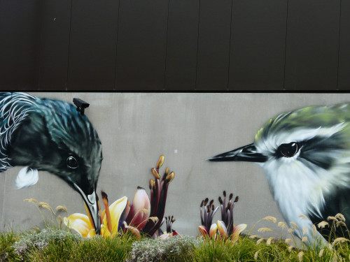 art in Christchurch